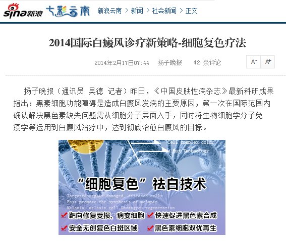 ��������2014���ʰ��������²���-ϸ����ɫ�Ʒ�