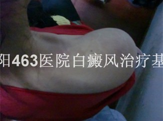 n2.jpg